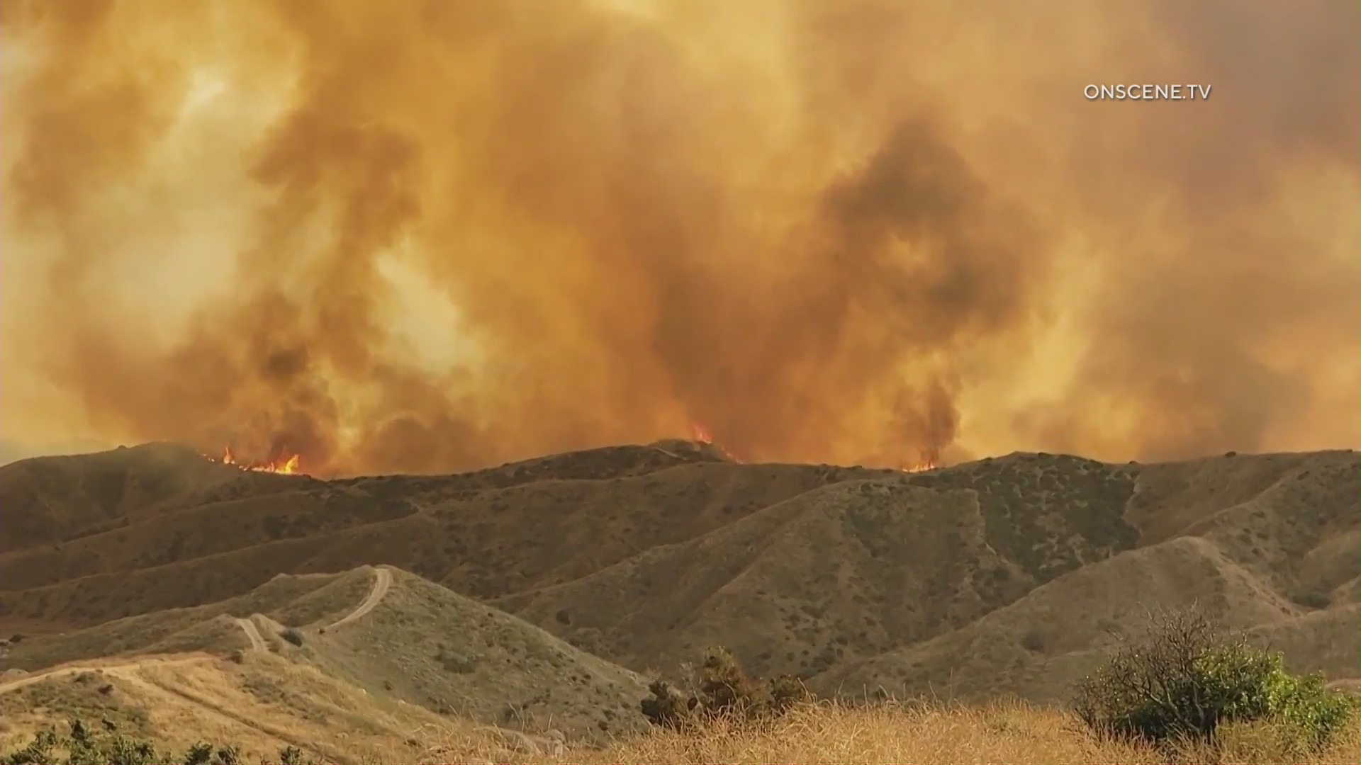 Firefighters are responding to a wildfire that erupted in Moreno Valley on July 14, 2023. (OnScene.TV)