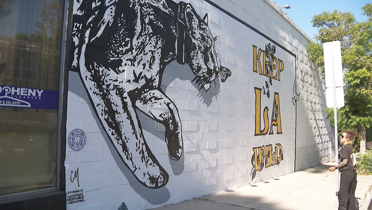 Mural honoring famed mountain lion P-22 unveiled in West Hollywood on August 4, 2023. (KTLA)