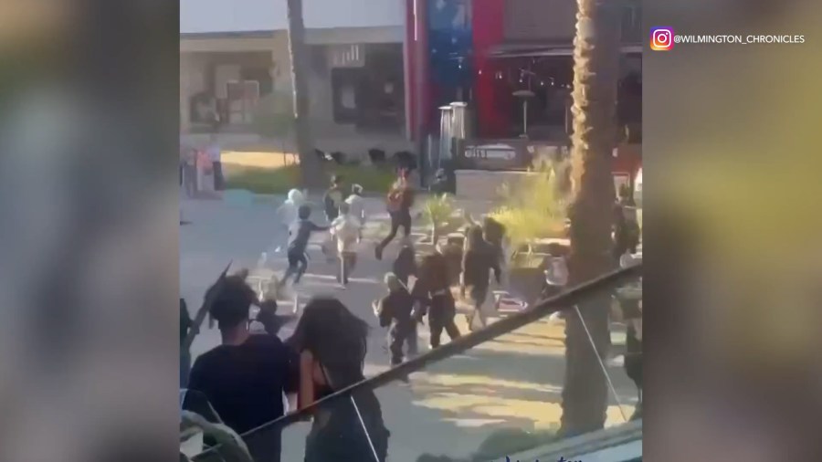 Torrance Mall Brawl