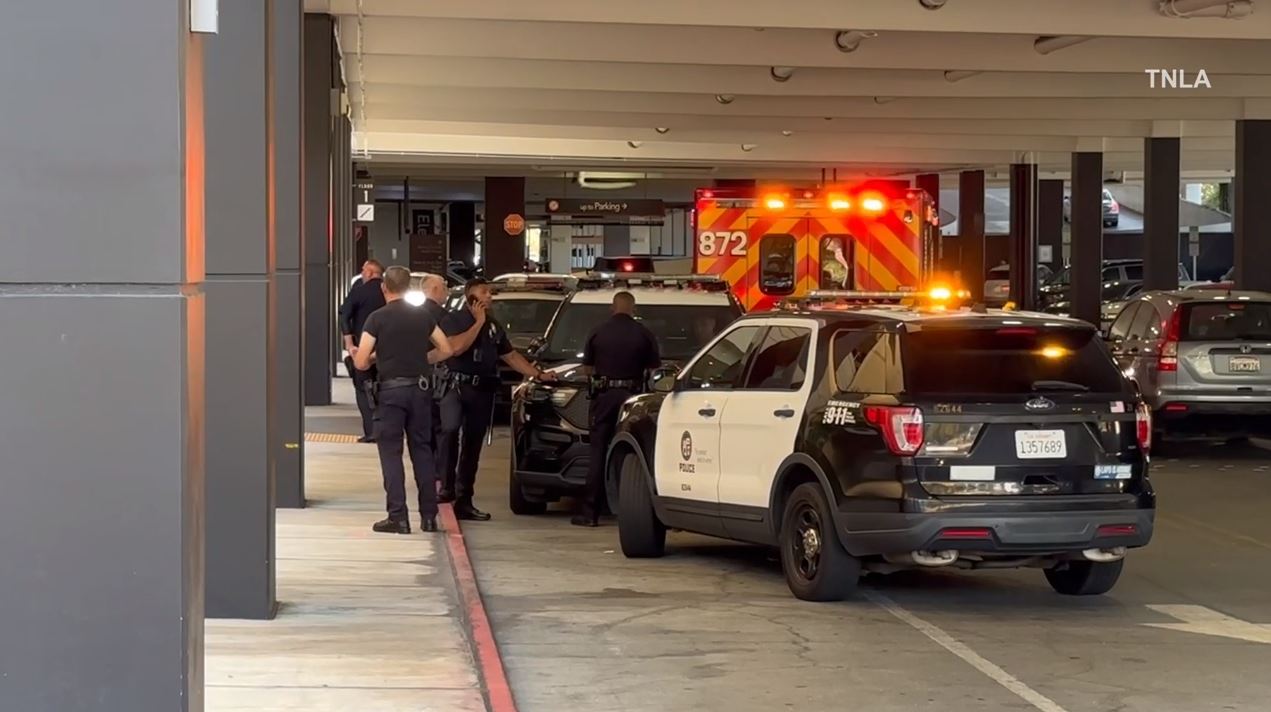 Video captured a mob of thieves swarming a Nordstrom in Canoga Park as they cleared out the store during a destructive robbery on August 12, 2023. (TNLA)