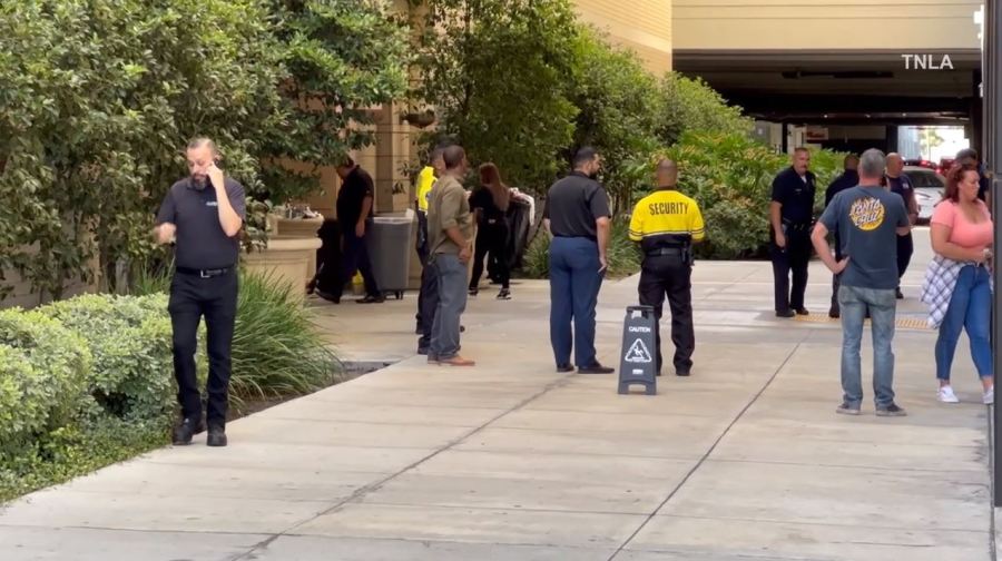 Video captured a mob of thieves swarming a Nordstrom in Canoga Park as they cleared out the store during a destructive robbery on August 12, 2023. (TNLA)