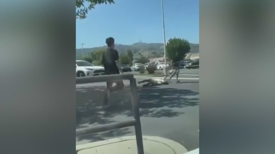 Video captured the terrifying moment a woman was dragged across the road by a purse snatcher in Hacienda Heights on August 14, 2023.