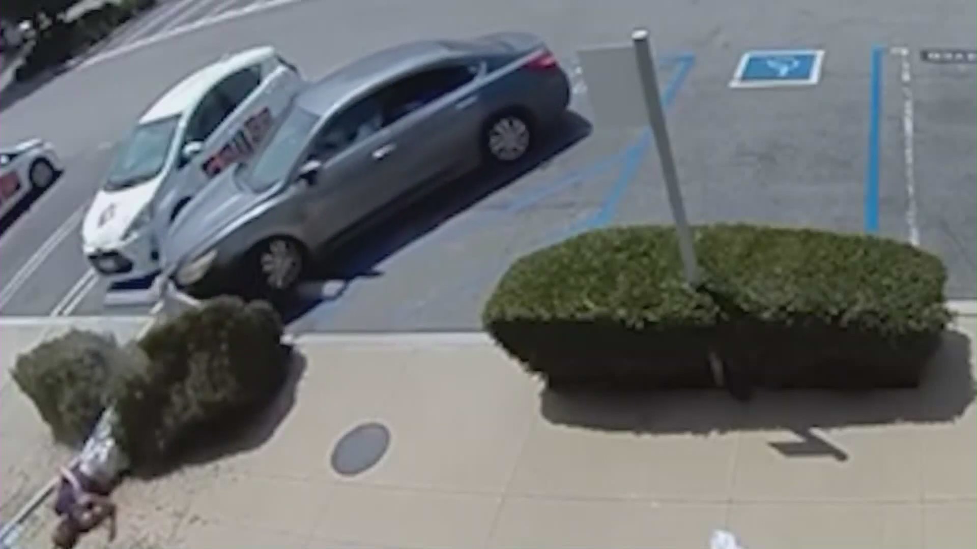 Torrance hit and run video