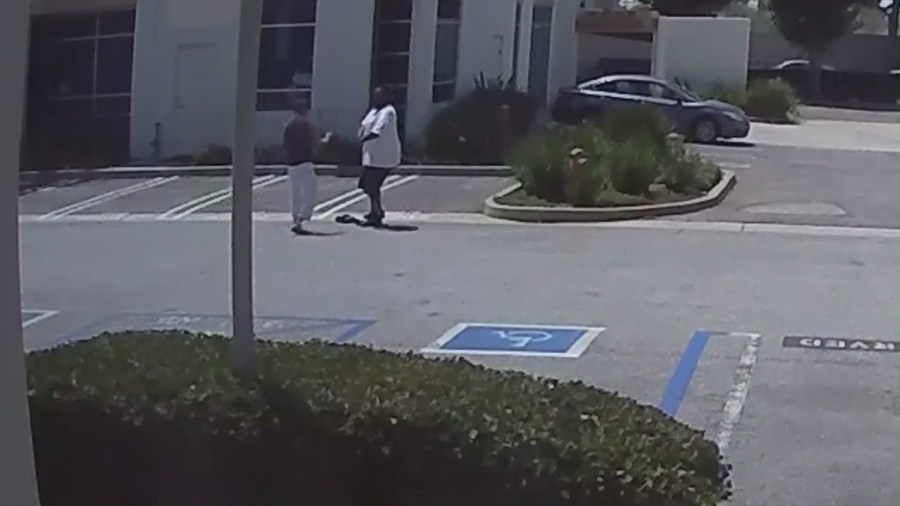 Torrance hit and run video