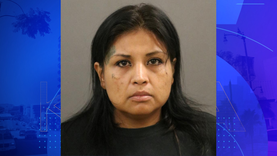 Cynthia Torres, 40, in a booking photo from the Buena Park Police Department.