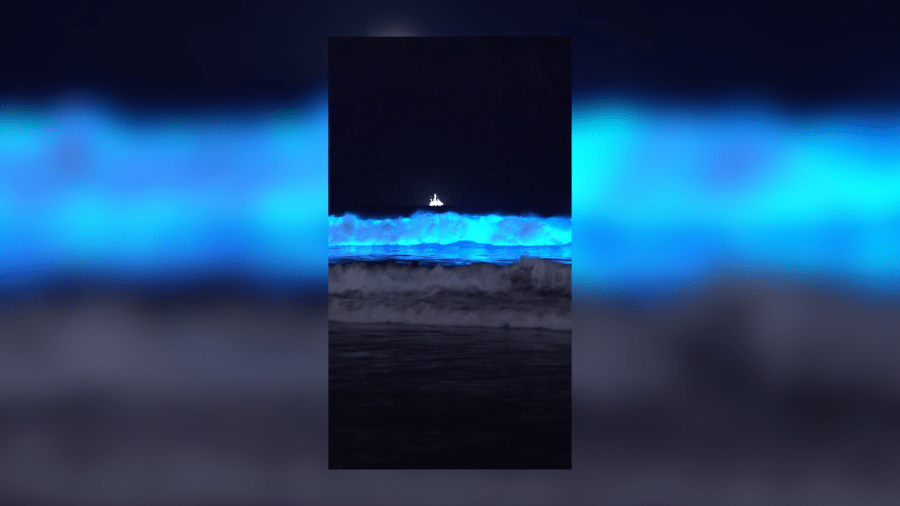 Bioluminescent waves at a beach in SoCal (KTLA)