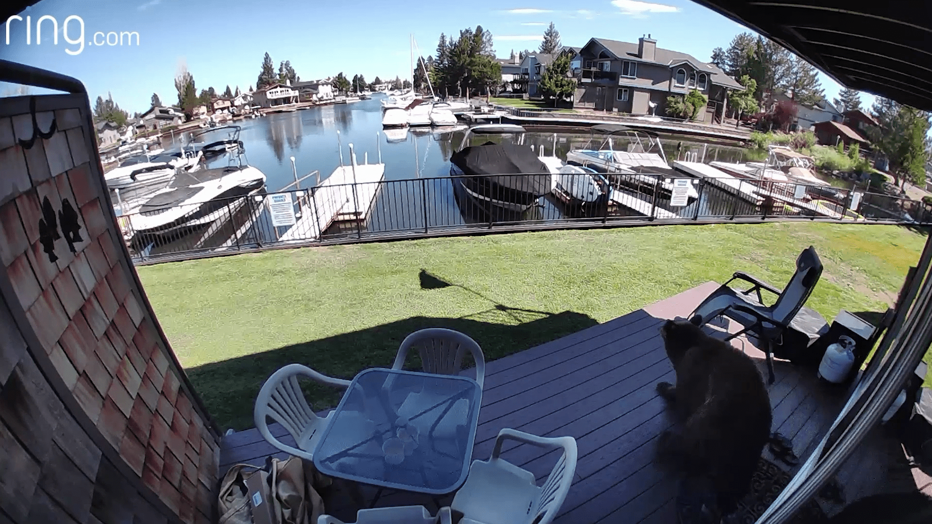 A black bear can be seen running off from a home in South Lake Tahoe after it pushed through the screen door to get inside on Aug. 2, 2023. (Ring)