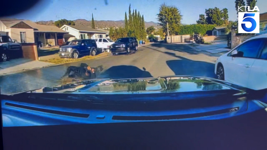 Dash-cam video appears to show an LAPD cruiser hit a fellow officer in the street