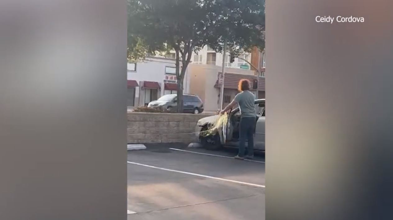 Residents in Temple City are disturbed after video appear to capture a man installing nets to catch wild parrots flying around in the community after some birds were found dead. (Ceidy Cordova)