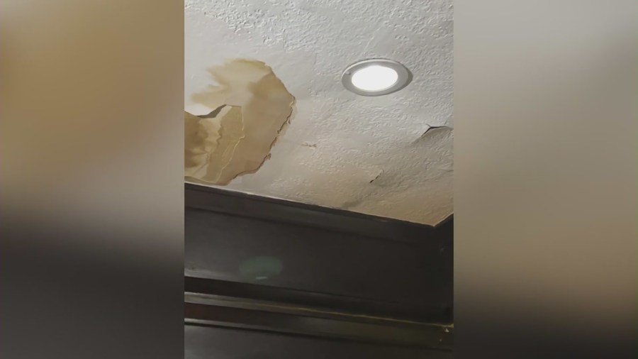 A family says their historic Hollywood crafstman-style rental home is infested with rodents and in disrepair. (Spratt Family)