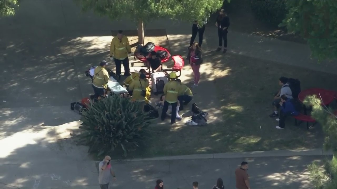 Van Nuys High School stabbing