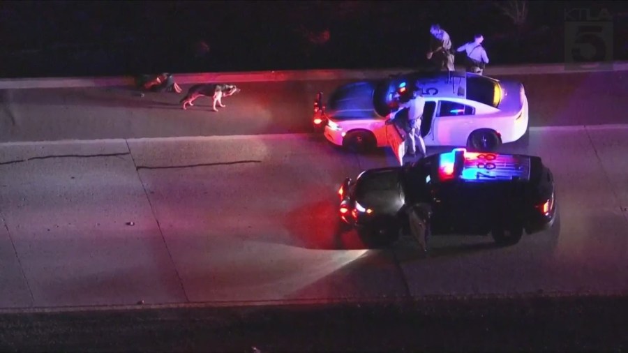 The suspect of a pursuit surrenders to CHP officers as his dog follows him in Ventura County on Nov. 10, 2023. (KTLA)