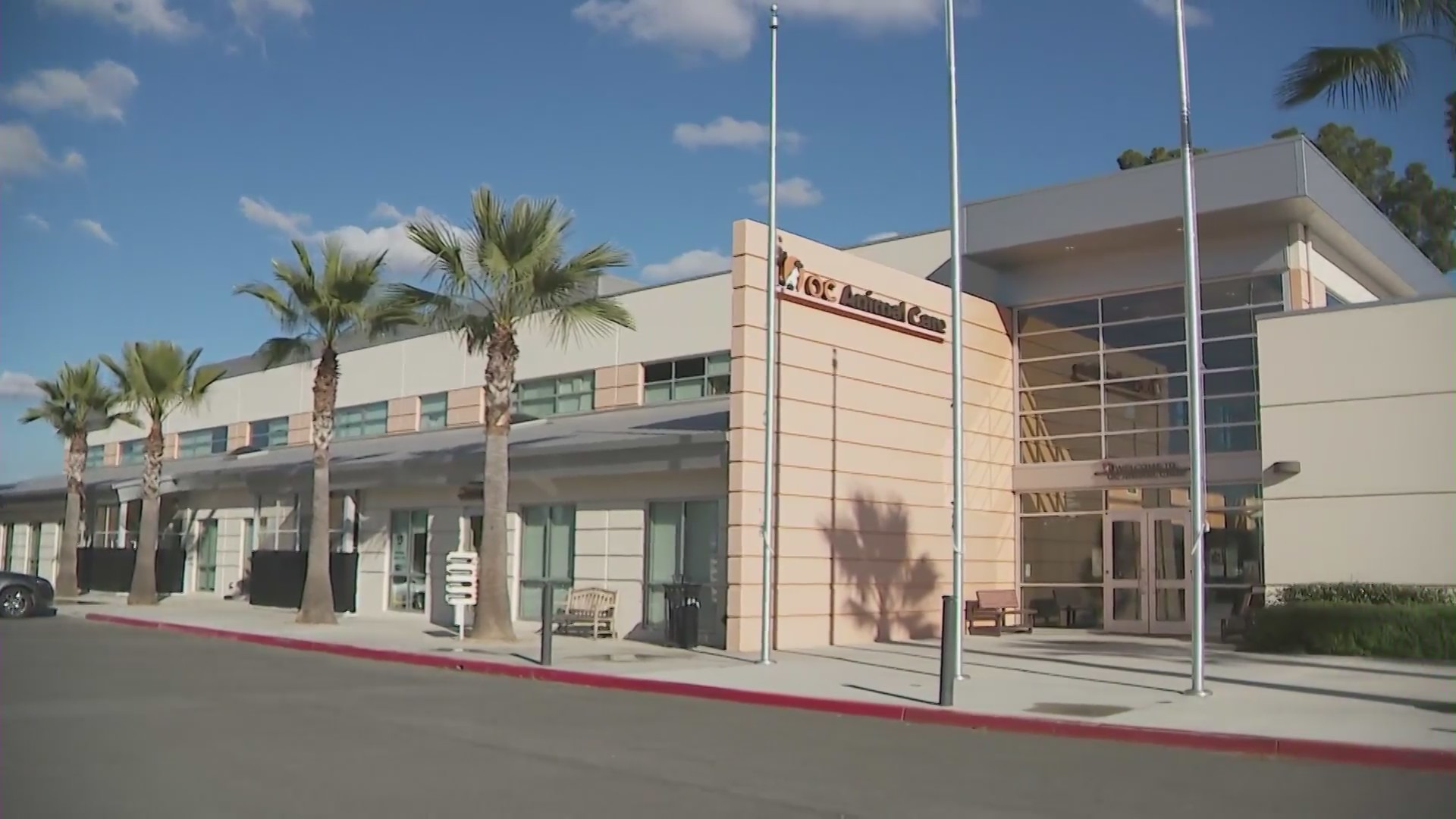 OC Animal Care Center shelter in Tustin, California. (KTLA)