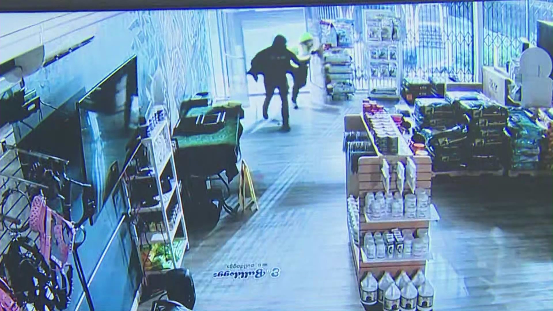 Security video captured a $100,000 dog heist after thieves ransacked a pet shop in Gardena on Nov. 21, 2023. (Top Dog Pet Store)