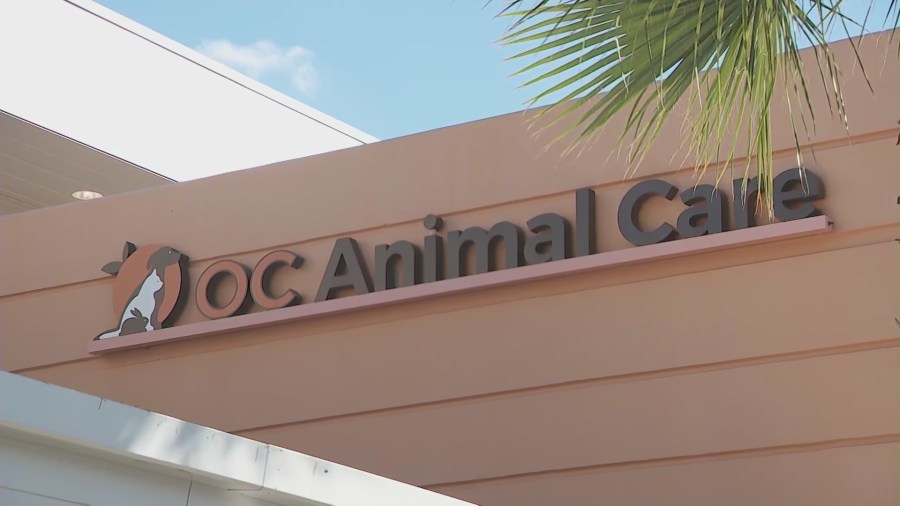 OC Animal Care Center shelter in Tustin, California. (KTLA)