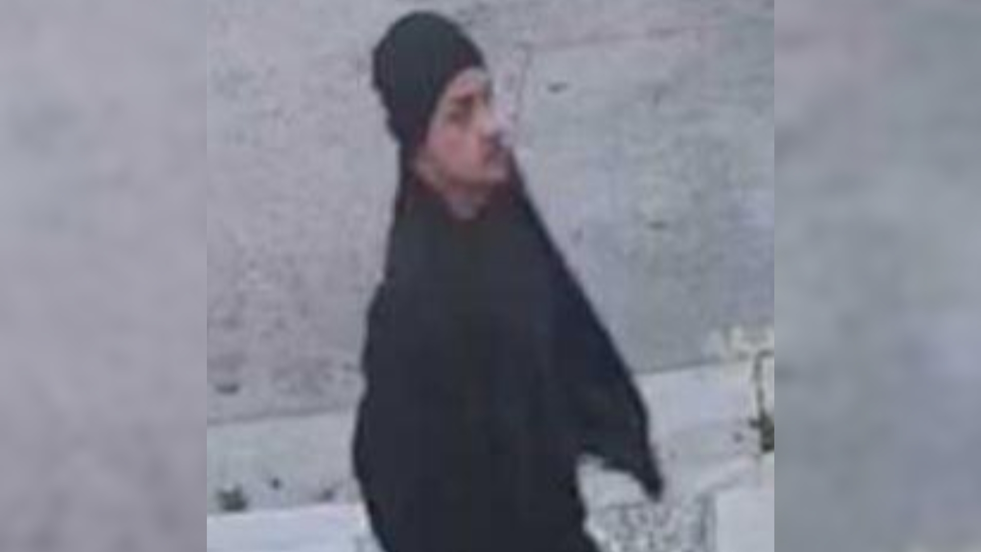 Culver City sex assault suspect