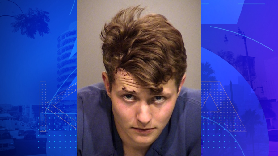 Scott Goldberg, 21, was arrested after allegedly attacking his parents with a hammer on Nov. 19, 2023. (Ventura County Sheriff's Office)