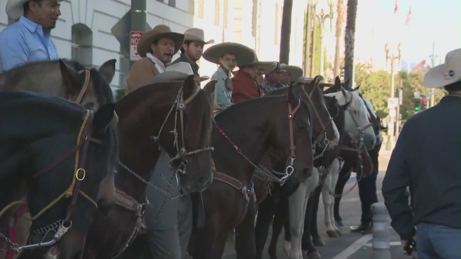 Los Angeles City Council weighs rodeo ban