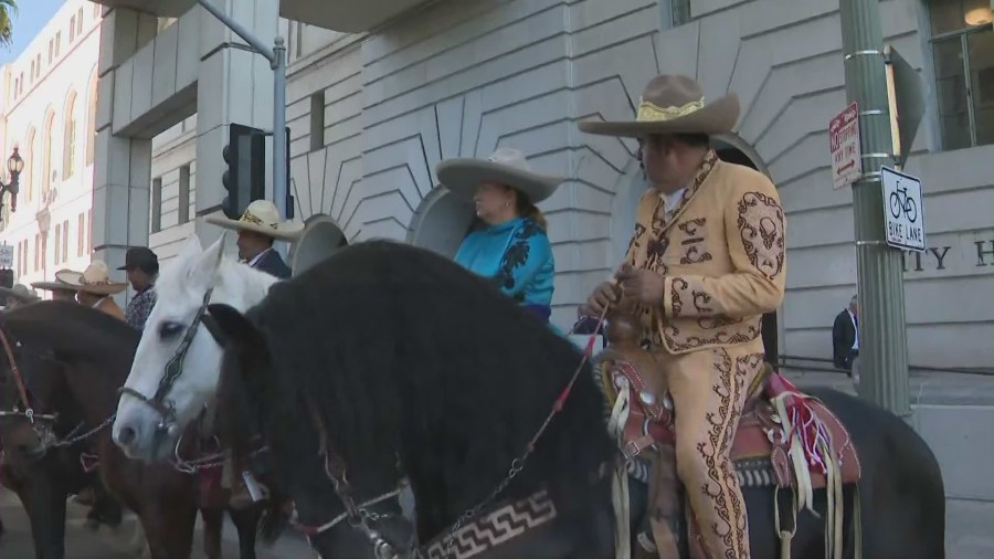 Los Angeles City Council weighs rodeo ban