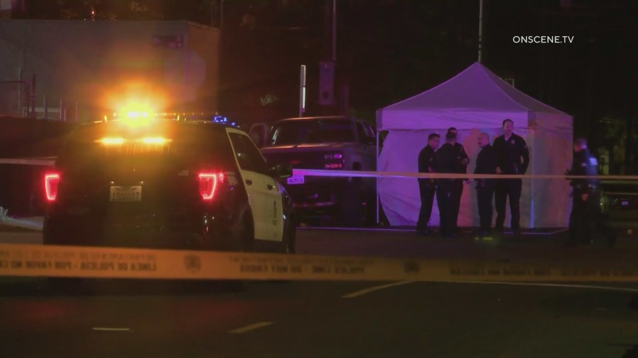 1 dead, 2 hospitalized in shooting in San Pedro 