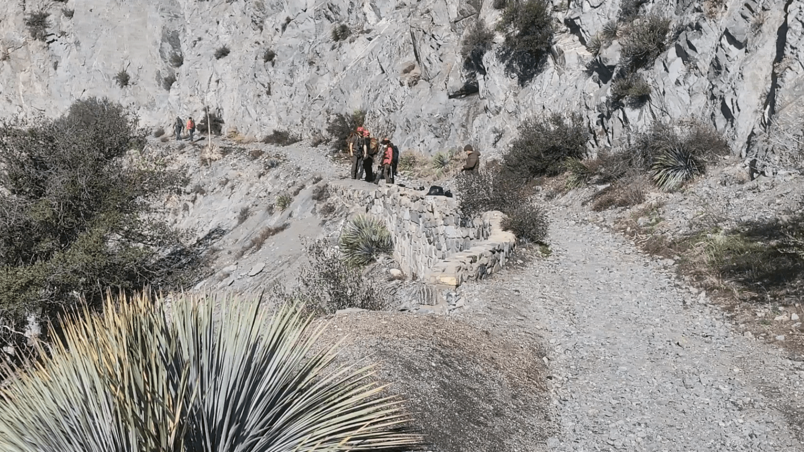 Search continues for missing hiker near Mount Wilson