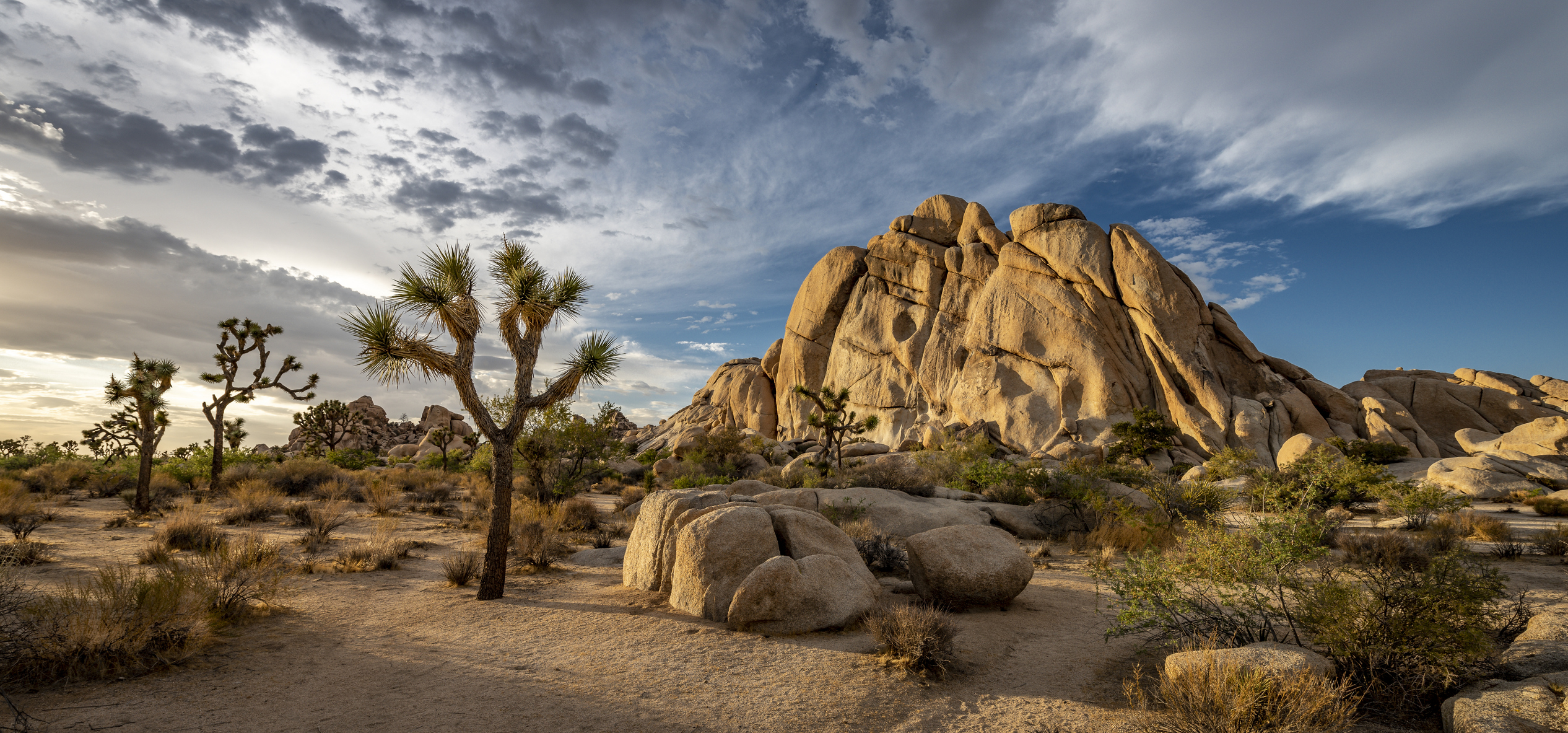 Joshua Tree National Park in Southern California. (Getty Images)