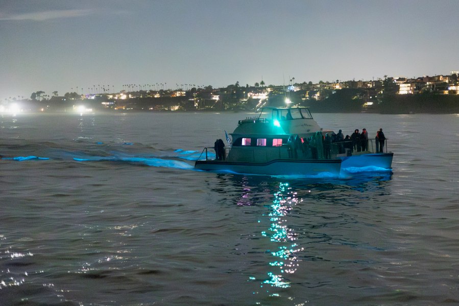 Bioluminescent water