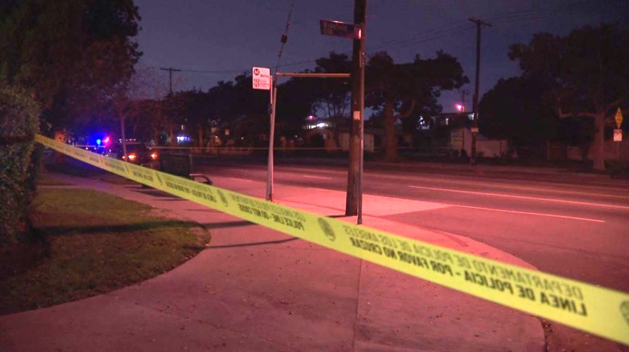 A woman in her 60s was struck and killed in a hit-and-run crash in Panorama City on Jan. 19, 2024. (KTLA)