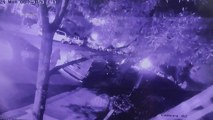 Video shows homeowner fighting back against car break-in suspects