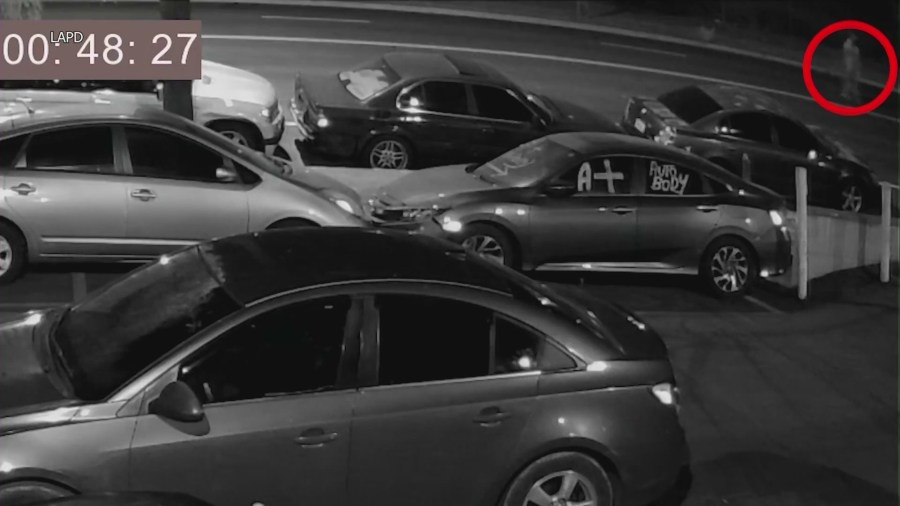 LAPD security footage showing multiple vehicles flee the scene after striking and killing Francisco Garcia in Pacoima on Jan. 12, 2024. (Los Angeles Police Department)