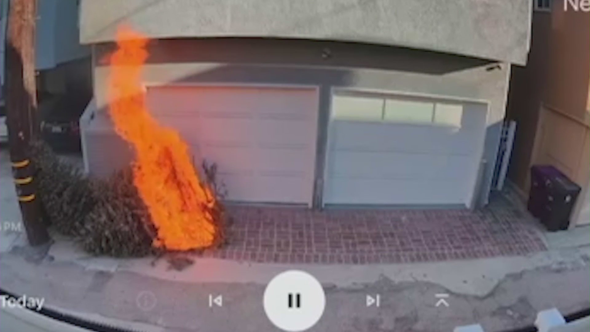 Arsonist seen setting a Christmas tree on fire in a Long Beach neighborhood on Jan. 12, 2024. (KTLA)