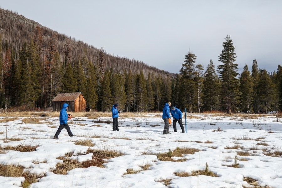 California Snow Survey