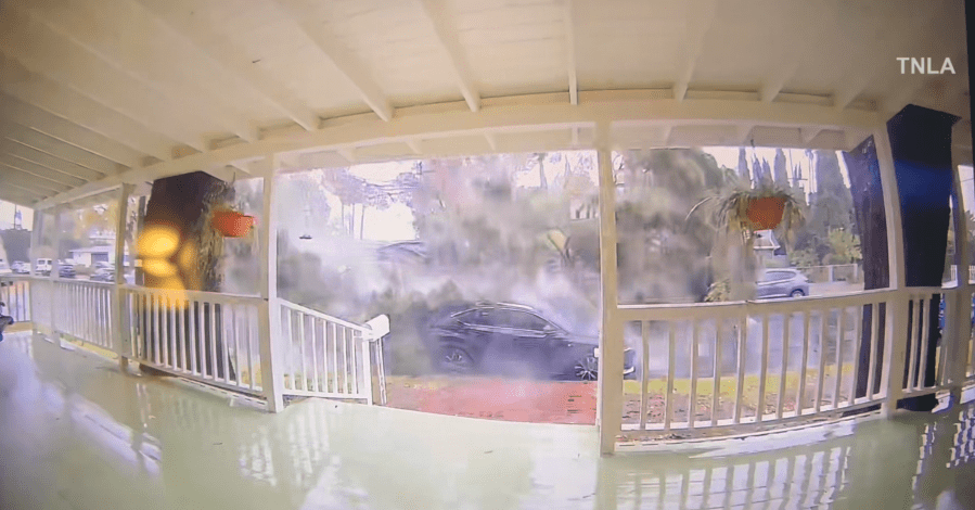 Video captures massive tree take our cars, power lines in Valley Glen