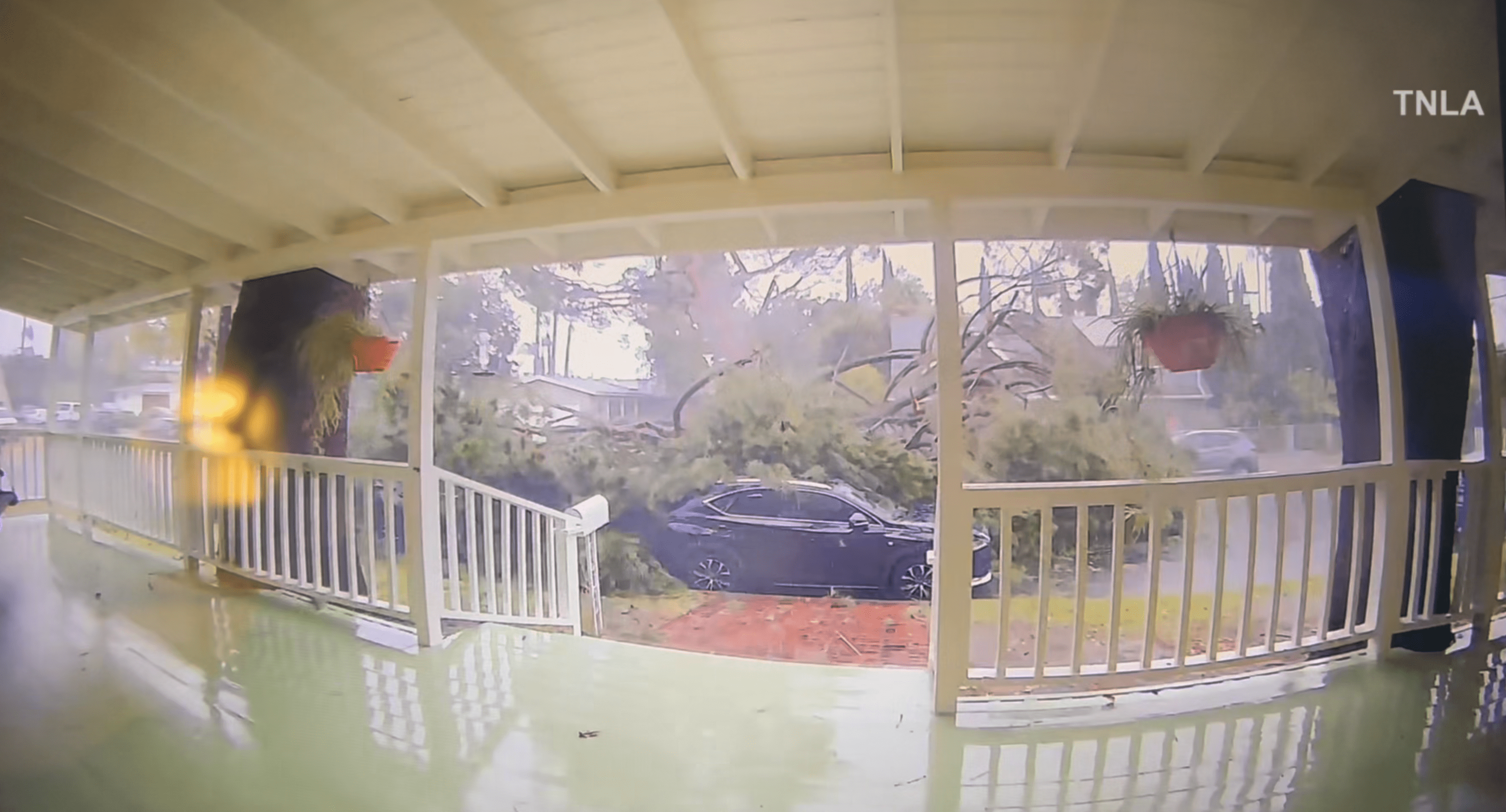 Video captures massive tree take our cars, power lines in Valley Glen