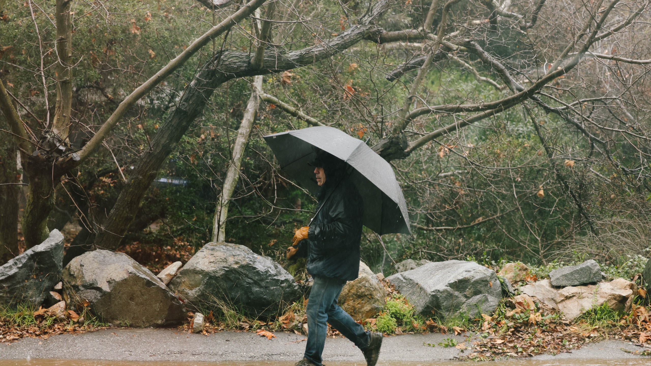 California rain