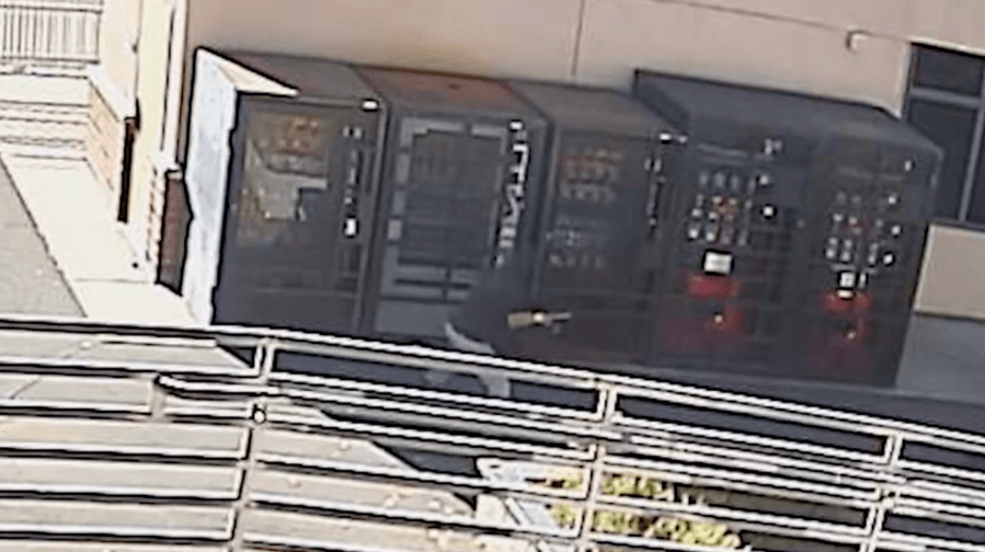 Vending machine vandal uses pickaxe to steal cash on school campuses