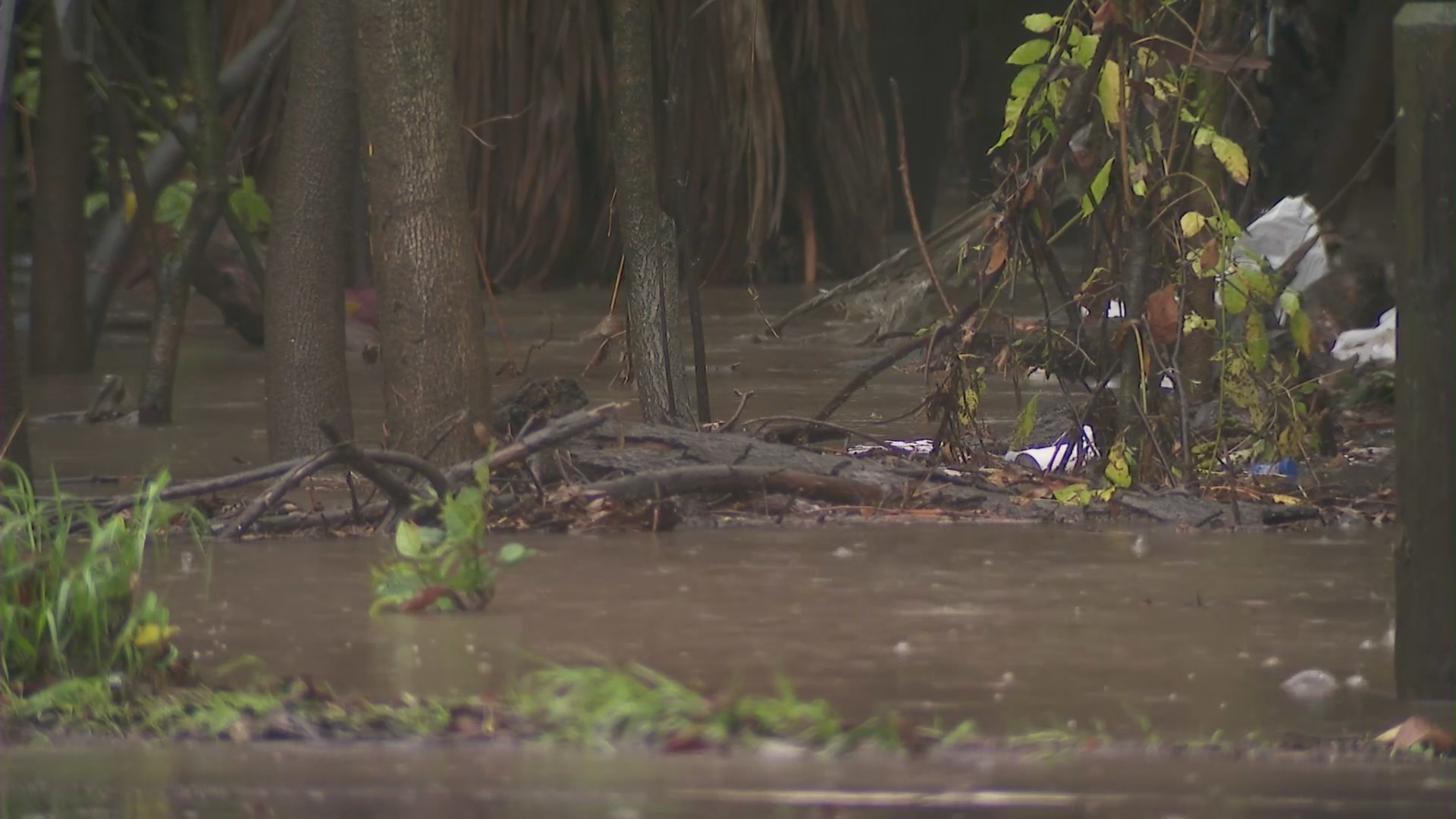 Sepulveda Basin closed to all traffic due to flooding 