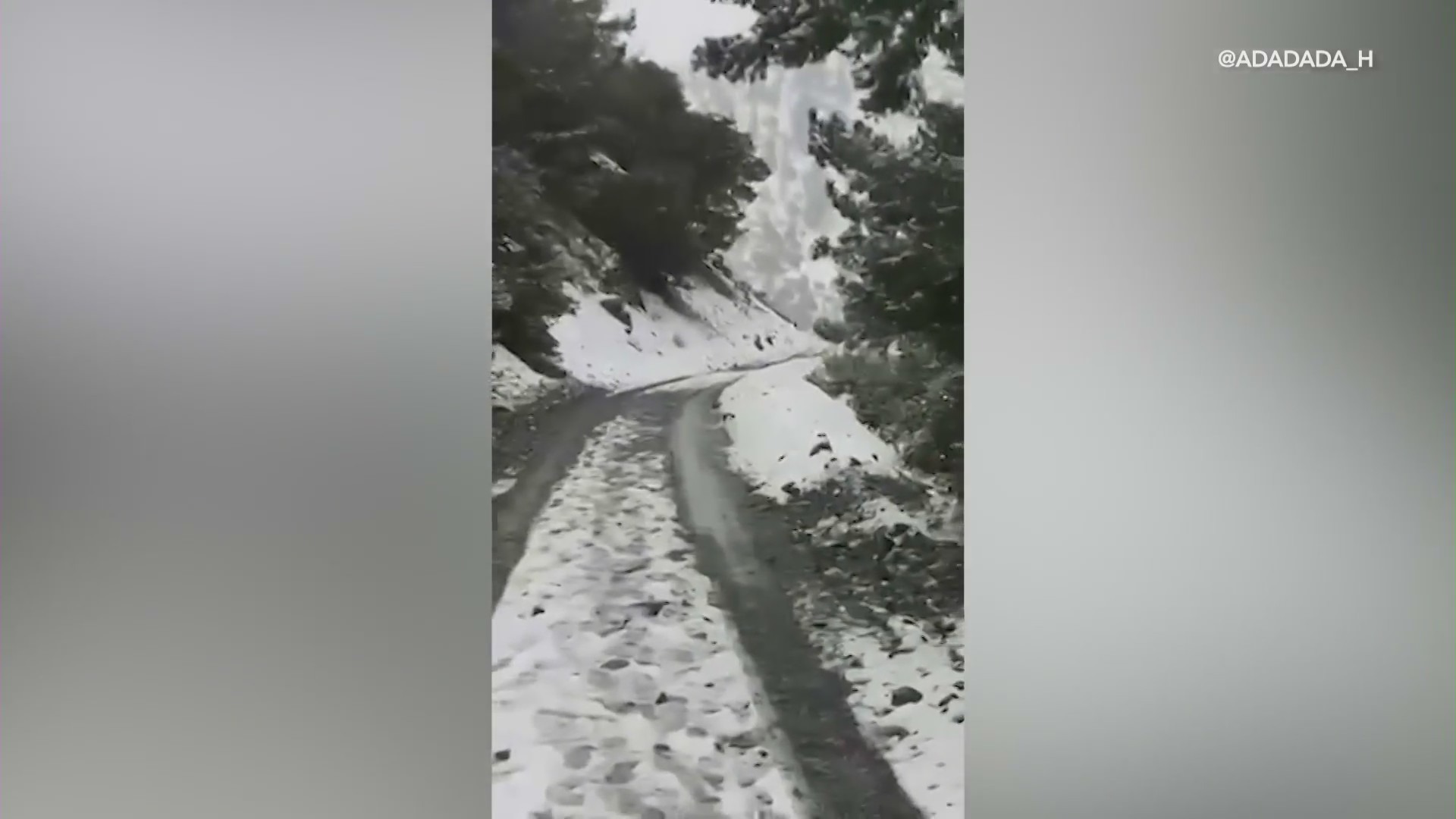 One of the last videos Lifei Huang posted to social media of her hike into Mount Baldy on Feb. 4, 2024. (Lifei Huang)