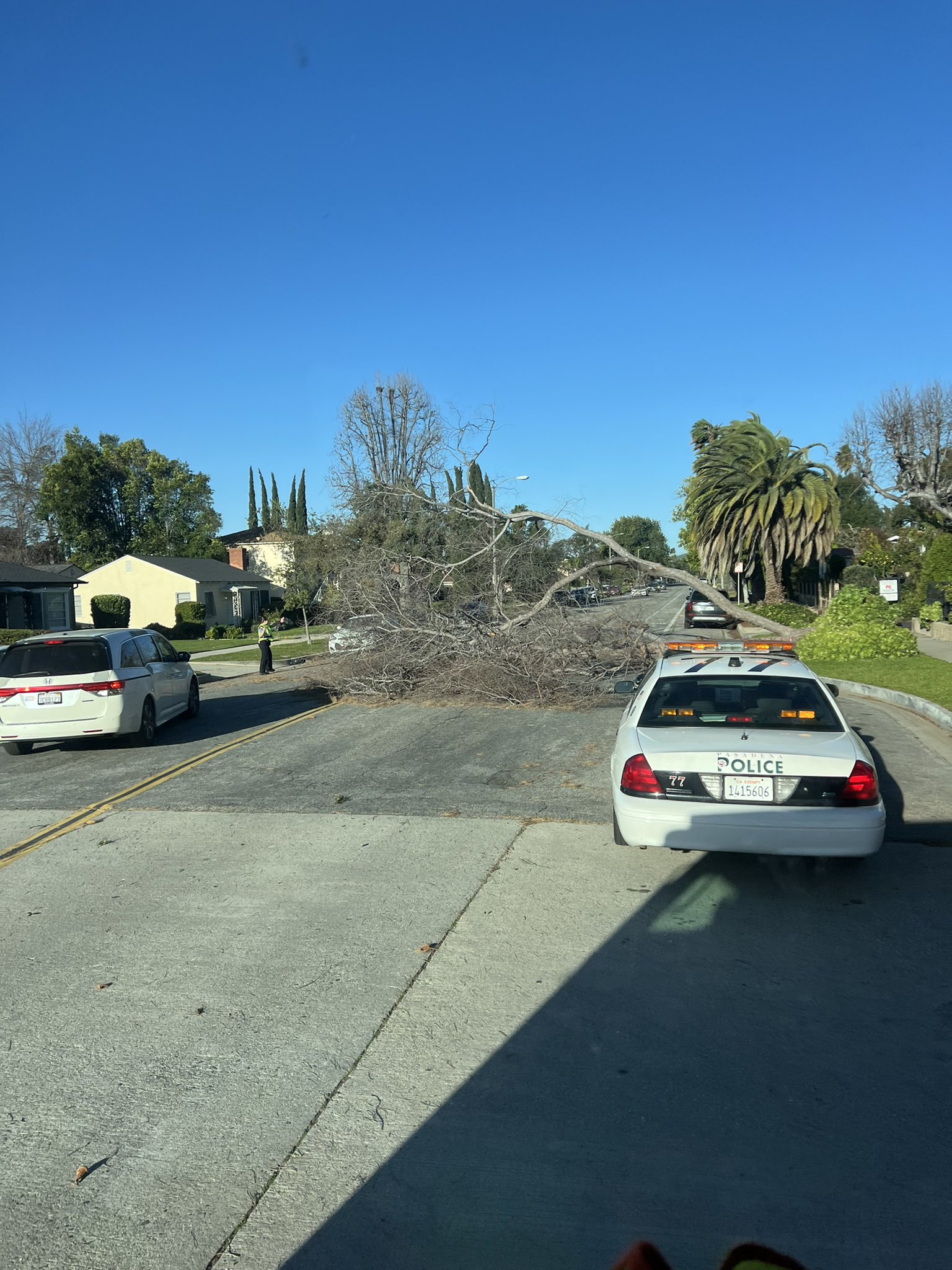 A downed tree is seen in Pasadena on March 14, 2024.