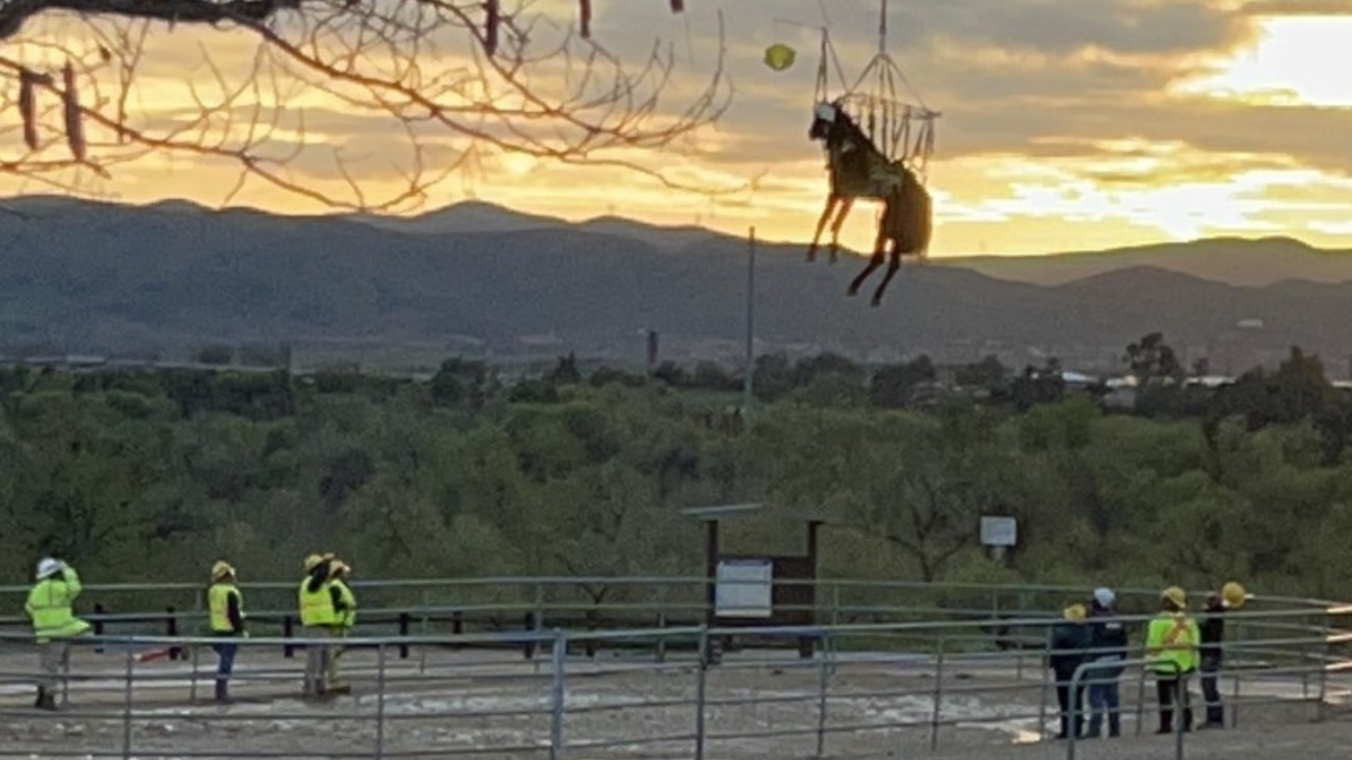 Horse and rider rescued from Santa Ana River