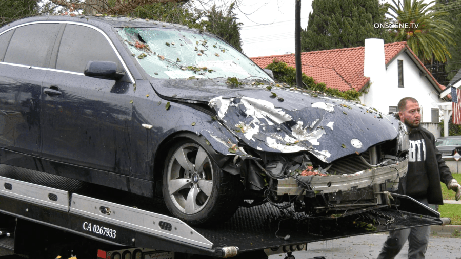 Massive tree comes down on Southern California driver