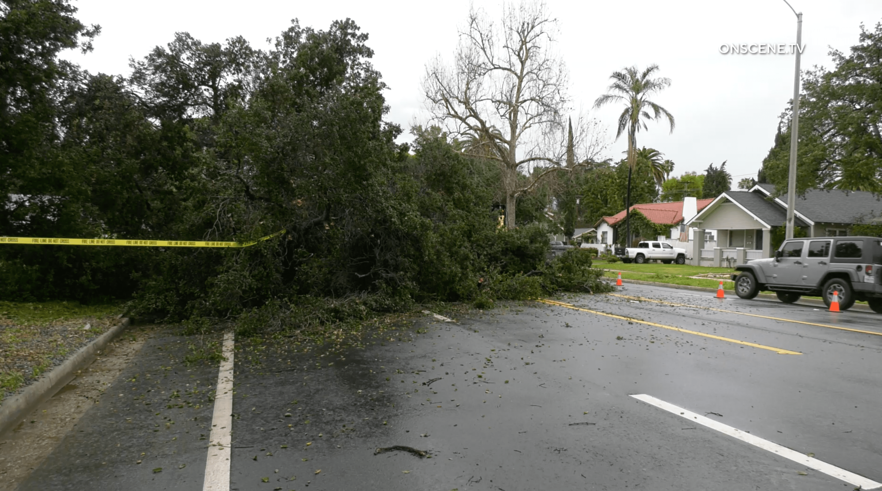 Massive tree comes down on Southern California driver