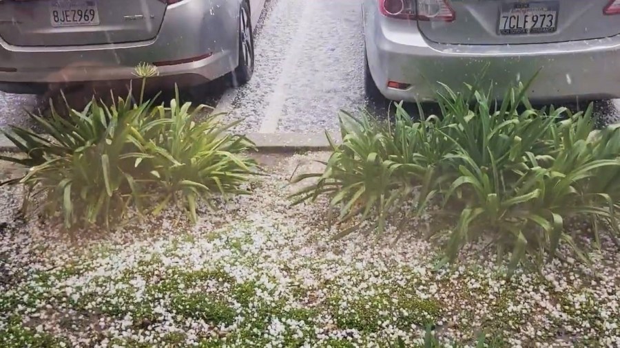 Large pieces of hail rained down on parked vehicles in Porter Ranch during a thunderstorm on March 7, 2024. (@shayera)