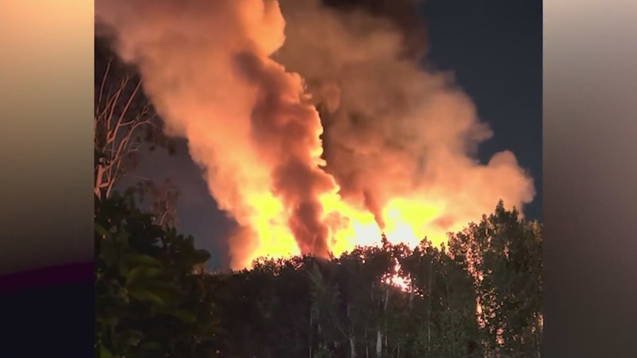 A neighbor's photo capturing the massive fire that destroyed the Studio City home of Cara Delevingne on March 15, 2024.