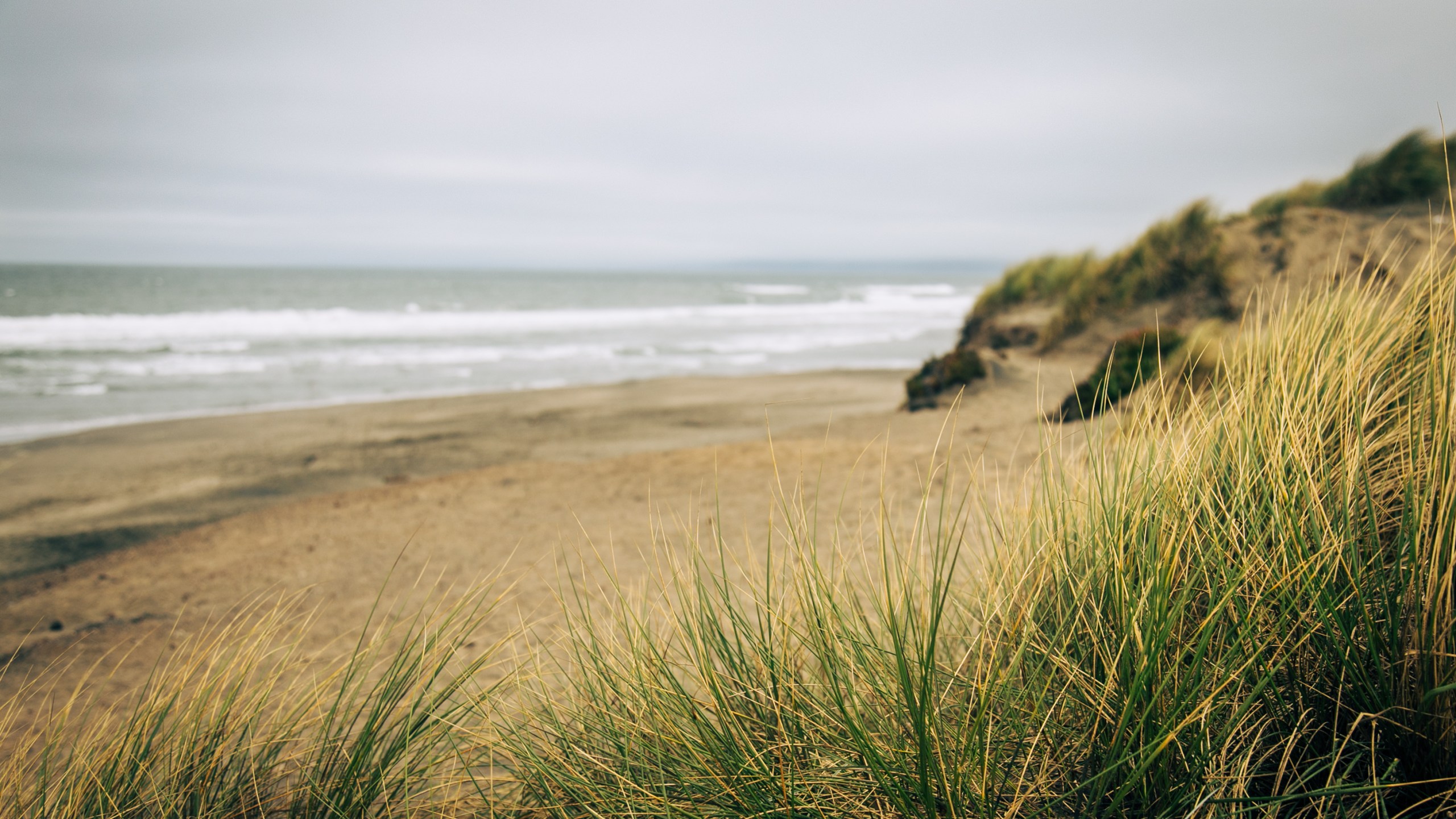 Sandy shores of a beach in California.