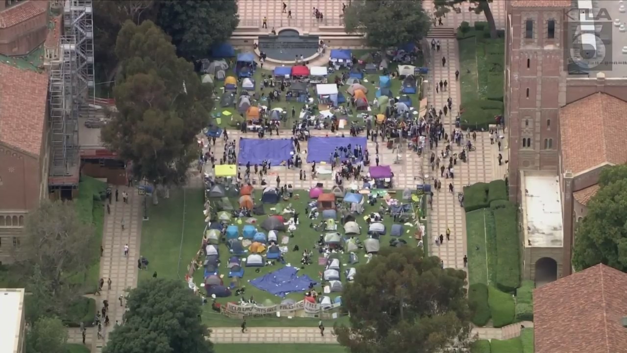 UCLA Campus Protest