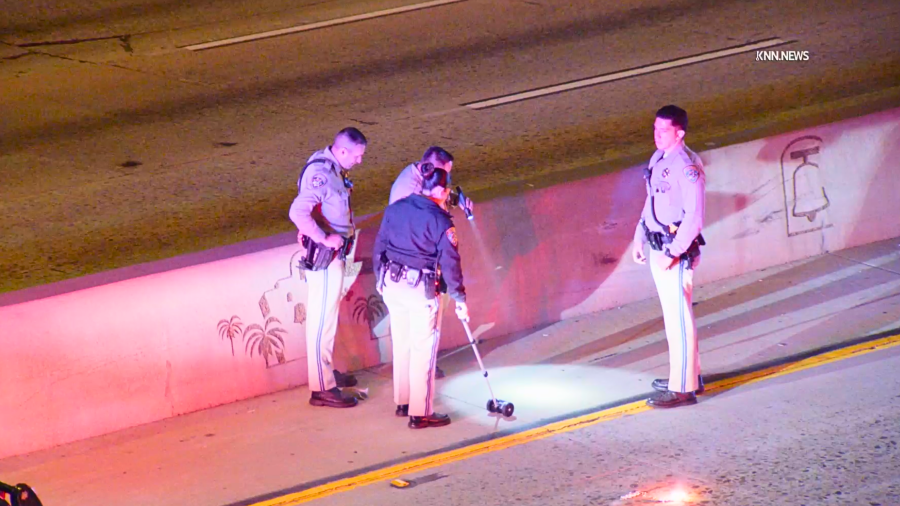 Pedestrian struck and killed on the 101 Freeway