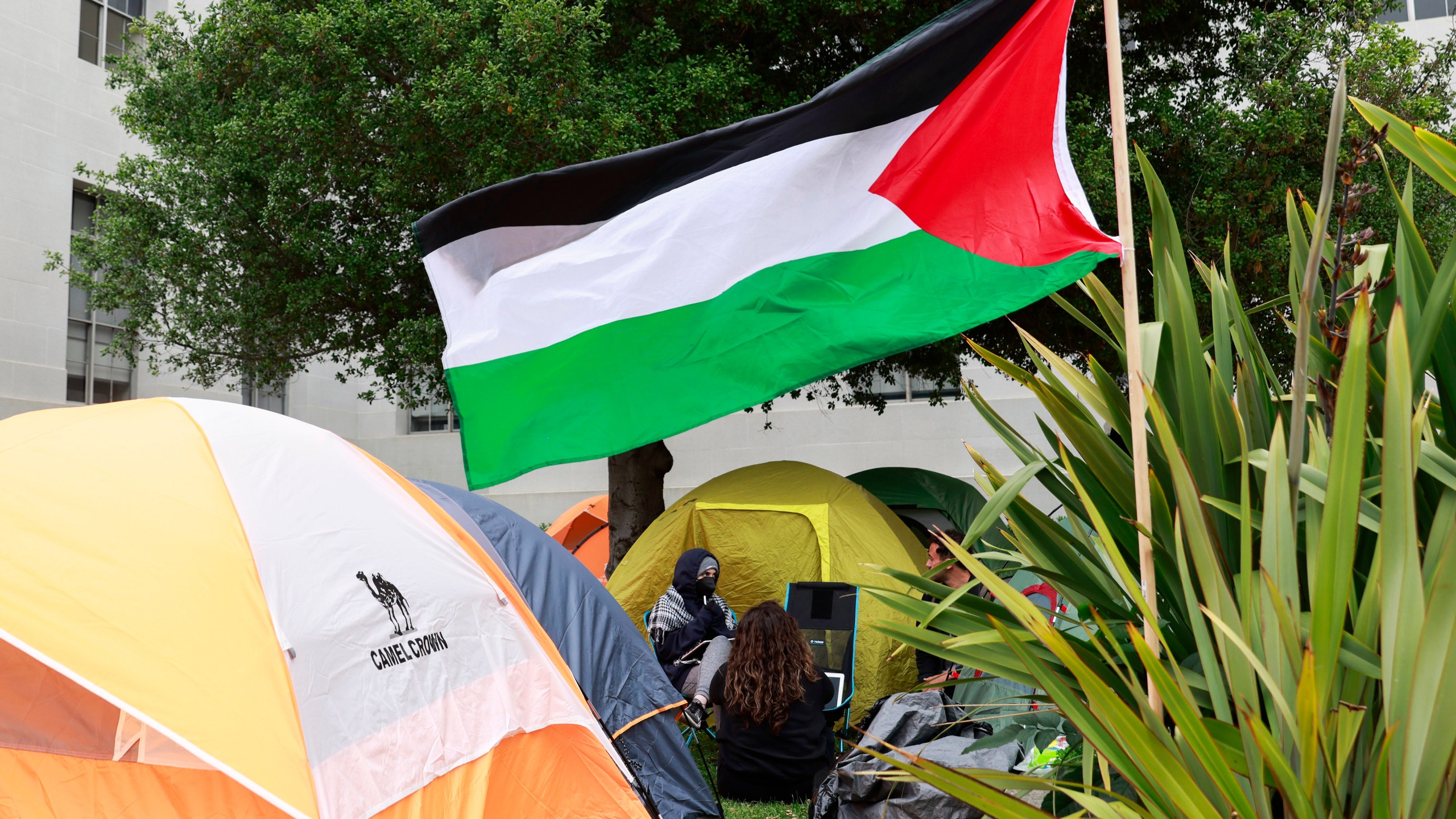 Demonstrators emerge from their tents after camping overnight with over fifty others on the steps of Sproul Hall at UC Berkeley in Berkeley, Calif., Tuesday, April 23, 2024 as students and others establish an encampment in protest, demanding for a divestment in UC Berkeley's holdings with companies doing business with Israel. (Jessica Christian/San Francisco Chronicle via AP)