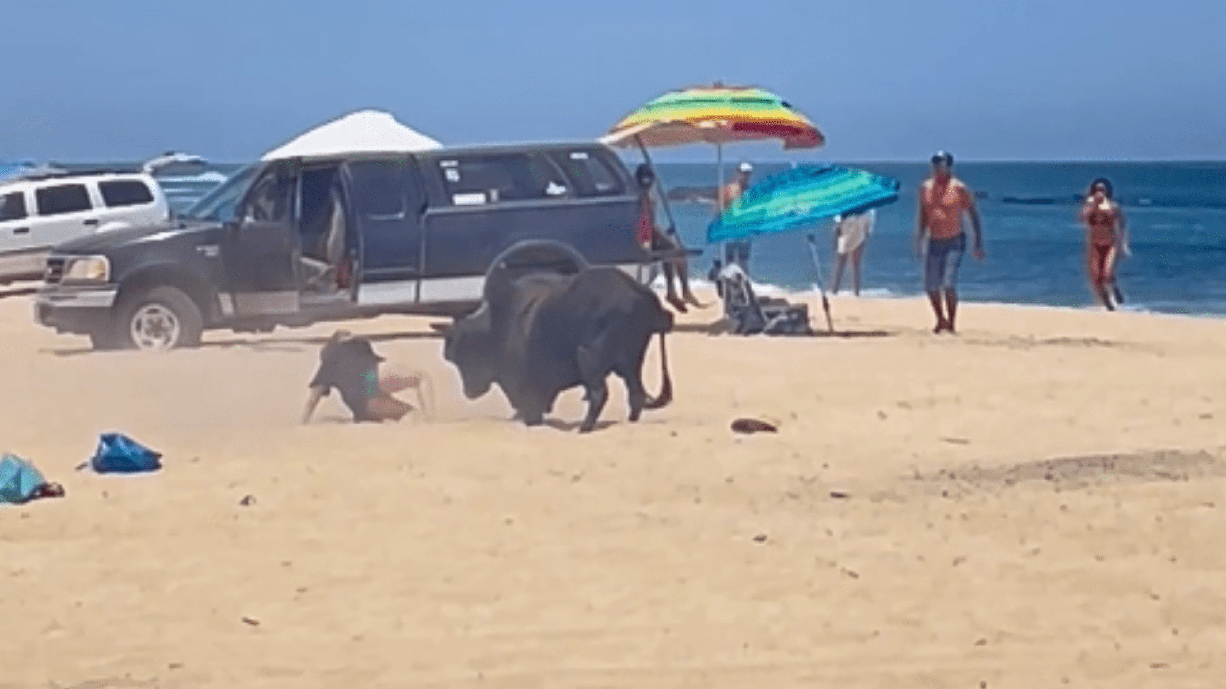 A woman is knocked to the ground by a bull on a beach in Mexico's Baja California Sur on May 11, 2024.