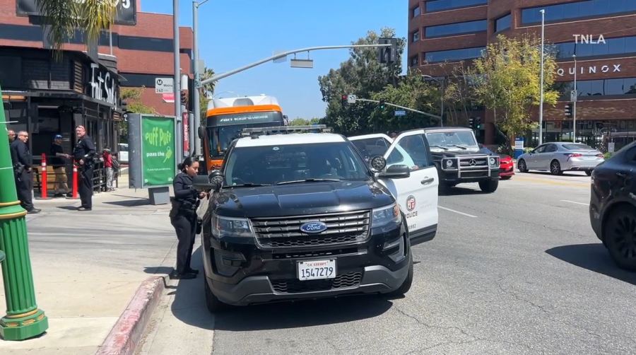 A suspect was arrested after a robbery attack on a Metro bus in Encino on May 14, 2024. (TNLA)